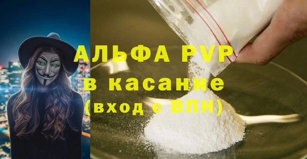 стаф Абинск