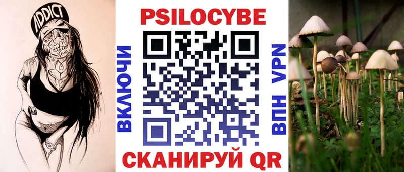 Псилоцибиновые грибы мицелий  Задонск 